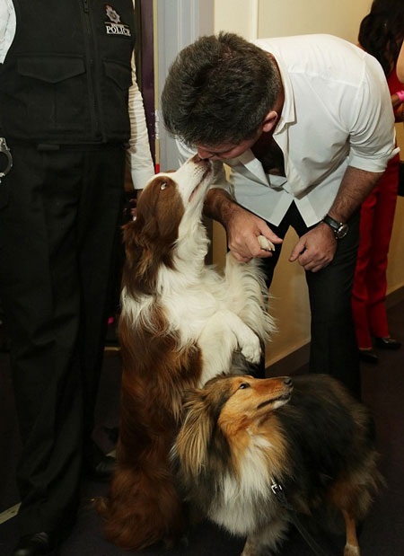 Sau một thời gian thua kém đàn chị vì váy vóc gợi cảm, nữ giám khảo