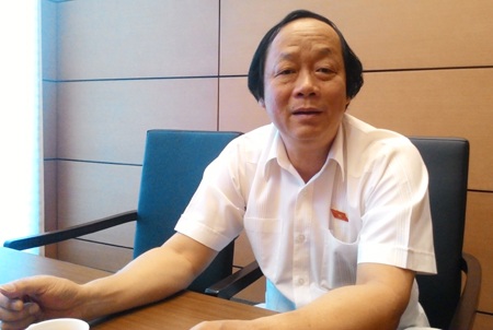 Dự án lấn sông Đồng Nai: Lấp sông xong rồi mới bắt dừng dự án! - 1 Phó Chủ nhiệm UB KH,CN&MT của Quốc hội Võ Tuấn Nhân.