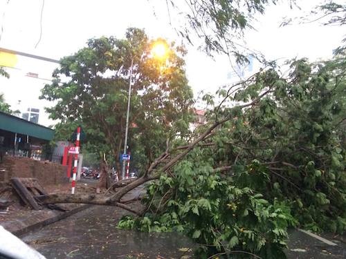 Mưa giông lớn "càn quét" Hà Nội, cây xanh đổ la liệt, giao thông hỗn loạn - 19 Giao thông tê liệt cục bộ sau trận mưa giông tại đường Lê Văn Lương (Trung Hoà - Nhân Chính).