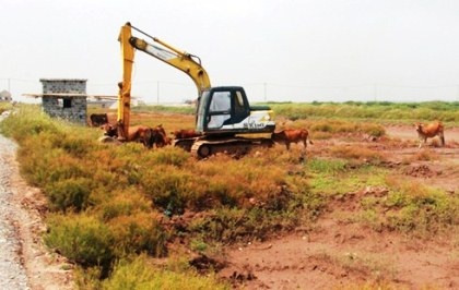 Nuôi ngao, phá... vườn quốc gia ở Nam Định - 1 Nuôi ngao, phá... vườn quốc gia ở Nam Định