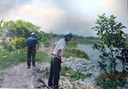 Hải Dương: Người dân xã Tân Kỳ bức xúc khi sống chung với bãi rác - 5 Bãi rác gây ô nhiễm khiến người dân bức xúc.