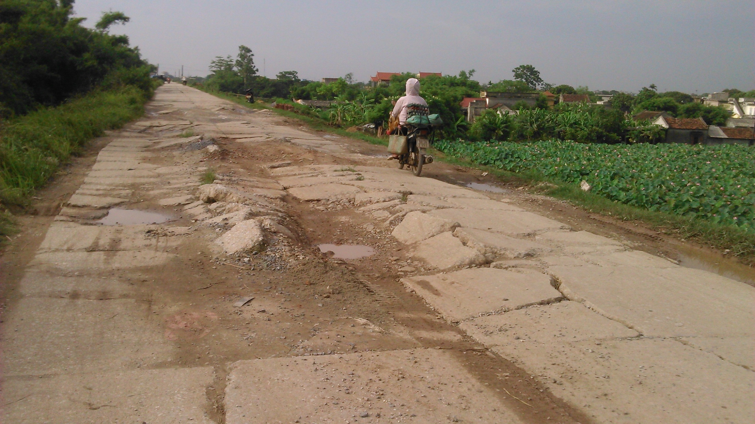 Ẩn hoạ khôn lường trên tuyến đường đê Đại Hà.