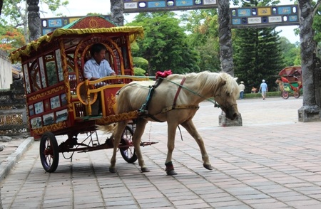 Doanh nghiệp lại “nhức đầu” về phí thăm quan