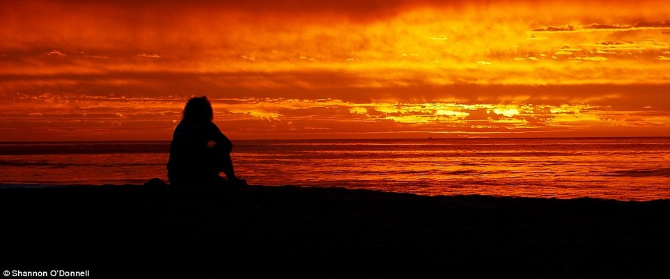 Đối với Shannon O'Donnell, cách tốt nhất để ngắm một đất nước đó là nhìn xuống từ trên cao