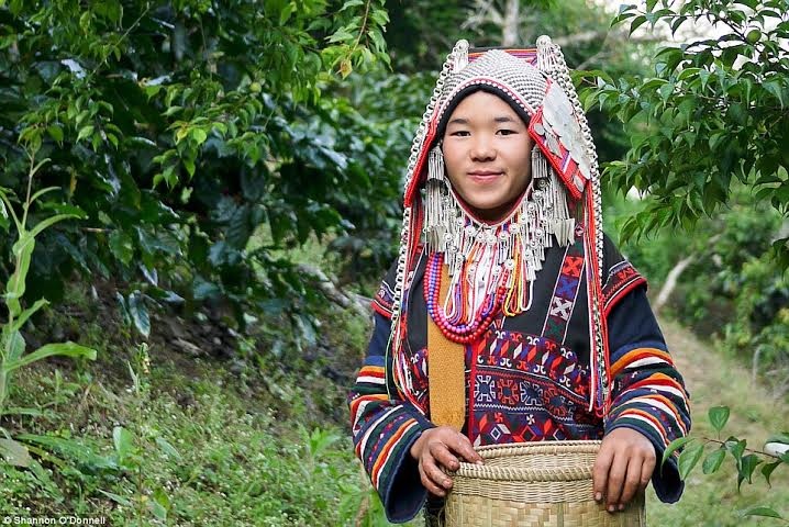 Cô gái hái trà ở Thái Lan.