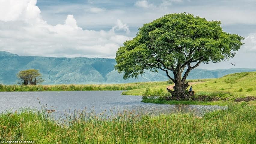 Shannon O'Donnell tìm hiểu nền văn hóa Maasai ở Kenya