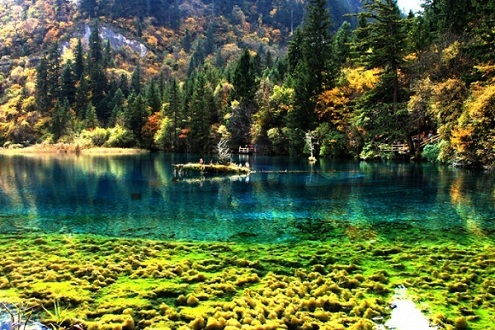 Cửu Trại Câu - "Thiên đường của hạ giới" - 3 Mặt hồ như những mảnh pha lê phản chiếu ánh nắng mặt trời rực rỡ như được tô vẽ.