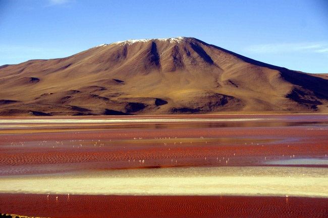 "Lạnh người" với 13 hồ nước độc, dị nhất thế giới - 3 Hồ Laguna Colorada, Bolivia được mệnh danh là “Hồ đỏ” với màu nước đỏ như máu.