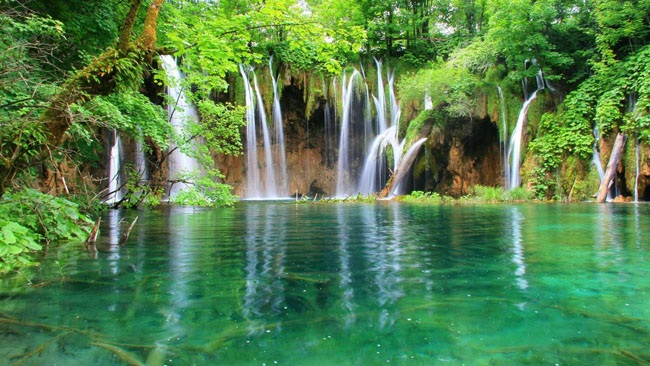 "Lạnh người" với 13 hồ nước độc, dị nhất thế giới - 6 Hồ Plitvice nằm trong vườn quốc gia Plitvice ở Croatia có vẻ đẹp thần tiên