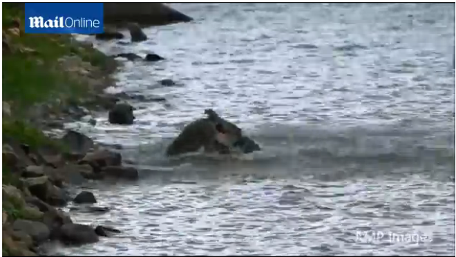 Cảnh tượng hiếm thấy này được chụp lại ở trên một khúc sông thuộc vườn quốc gia Kakadu. 