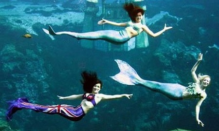 Những tour du lịch độc đáo nhất hành tinh