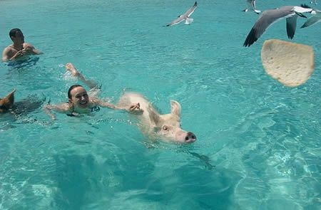 Những tour du lịch độc đáo nhất hành tinh