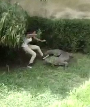 Trêu cá sấu, nữ du khách vật lộn giữ mạng sống - 1 Stacy vật lộn với con cá sấu. Ảnh: Daily Mail.