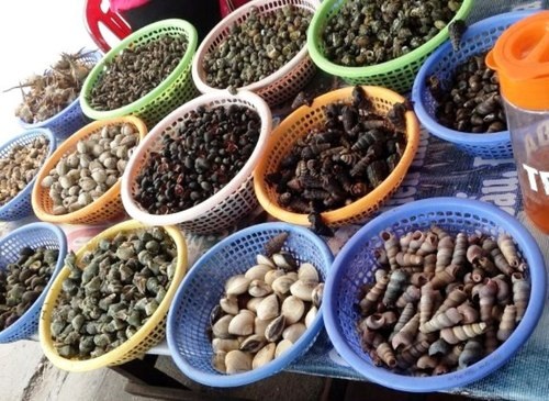 Trải nghiệm thú vị không thể bỏ qua ở vịnh Hạ Long - 5 Trải nghiệm thú vị không thể bỏ qua ở vịnh Hạ Long