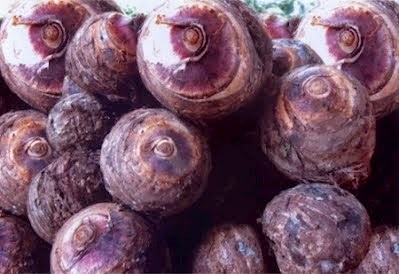 Những đặc sản nổi tiếng ở Yên Bái