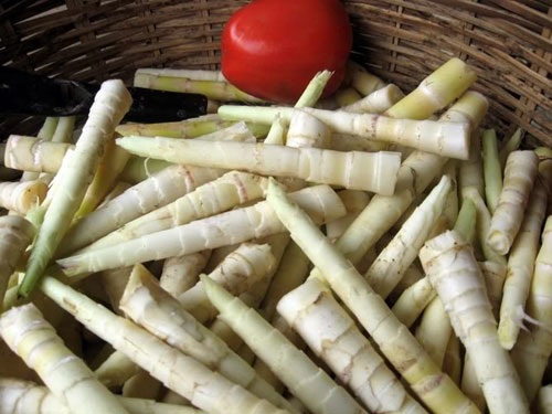 Những đặc sản nổi tiếng ở Yên Bái