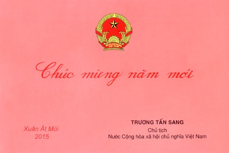 Pháo hoa rộn ràng chào đón năm mới Ất Mùi - 1 Tại