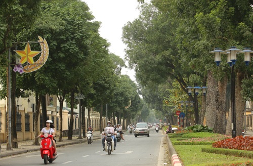 Những hàng cây đẹp hút hồn ở Hà Nội sẽ ra sao? - 4 Đường Nguyễn Tri Phương