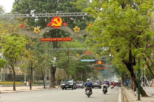 Những hàng cây đẹp hút hồn ở Hà Nội sẽ ra sao? - 7 Đường Điện Biên Phủ