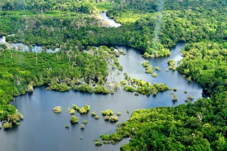 Đà Nẵng - điểm đáng đến nhất trong năm 2015 - 11 9. Manaus (Brazil)