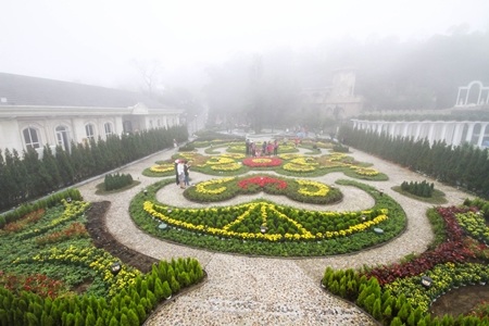 Trang trí cây thông Noel đón khách trong mùa lễ Giáng sinh ở khu du lịch Bà Nà - Đà Nẵng