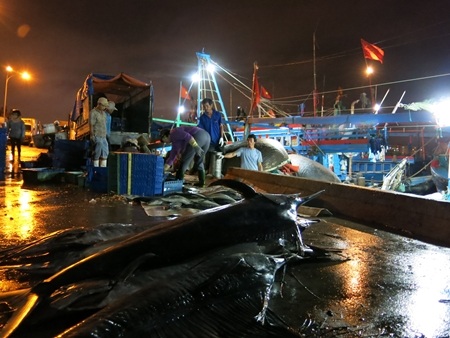 Những người lính giữ bình yên biển đảo