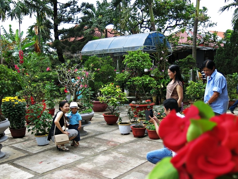 Các nhà chùa đều trang trí muôn sắc hoa xuân trong ngày Tết 