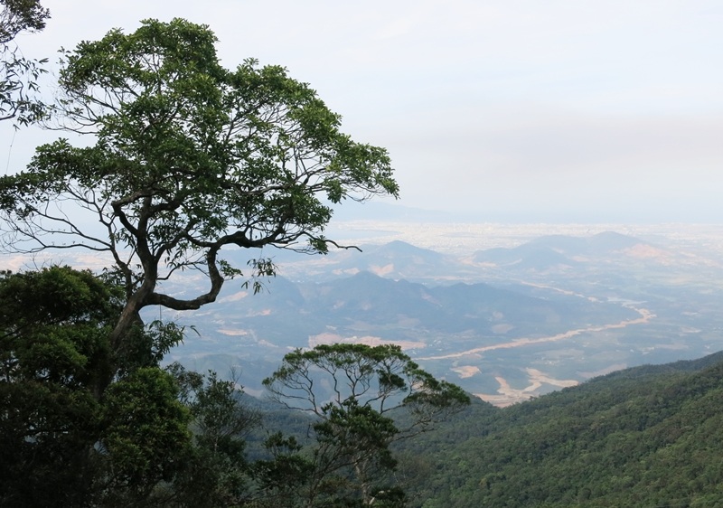 Toàn cảnh Đà Nẵng nhìn từ trên cao (ảnh: Khánh Hiền)