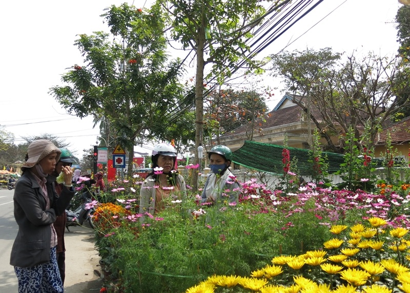  Người dân chọn hoa xuân ở đường Trần Hưng Đạo (Hội An, Quảng Nam) chiều 30 Tết