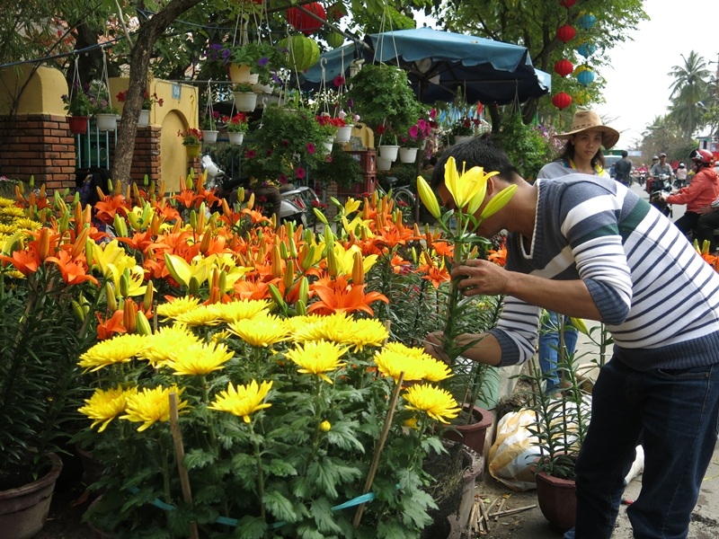  Chọn những sắc hoa tươi thắm nhất trước thềm năm mới