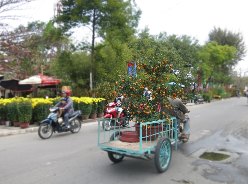 Ngược xuôi chở Tết về nhà