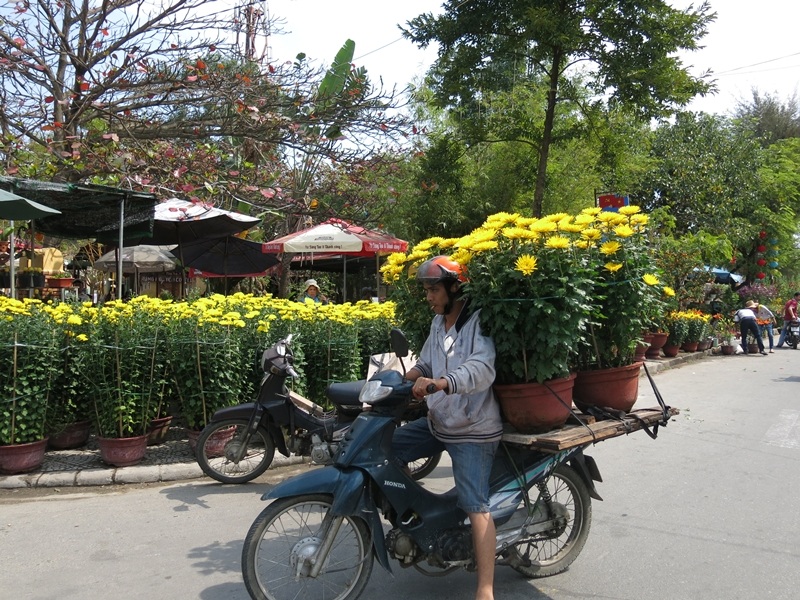 Ngược xuôi chở Tết về nhà