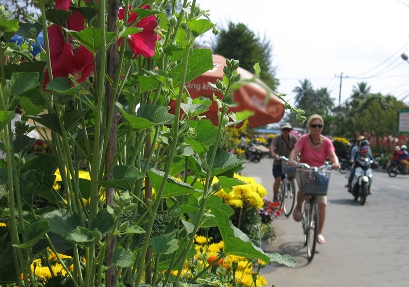 Du khách náo nức dạo ngắm hoa xuân ngày 30 Tết đợi đón giao thừa ở phố cổ