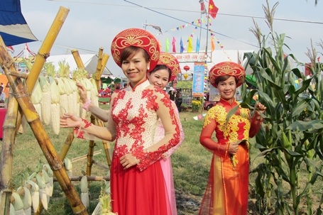 Ngày hội là dịp để người dân xứ Quảng giới thiệu đặc sản bắp nếp Cẩm Nam ngon có tiếng