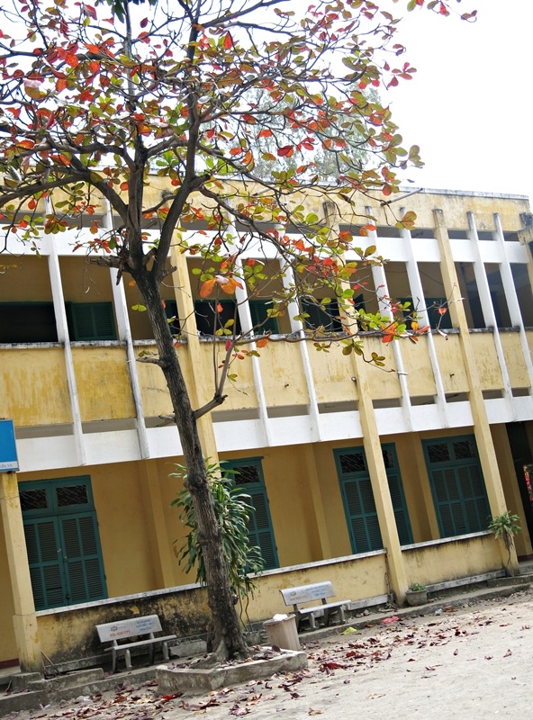 Cựu học sinh Khánh Di dẫn con gái về ghi hình kỷ niệm với trường cũ