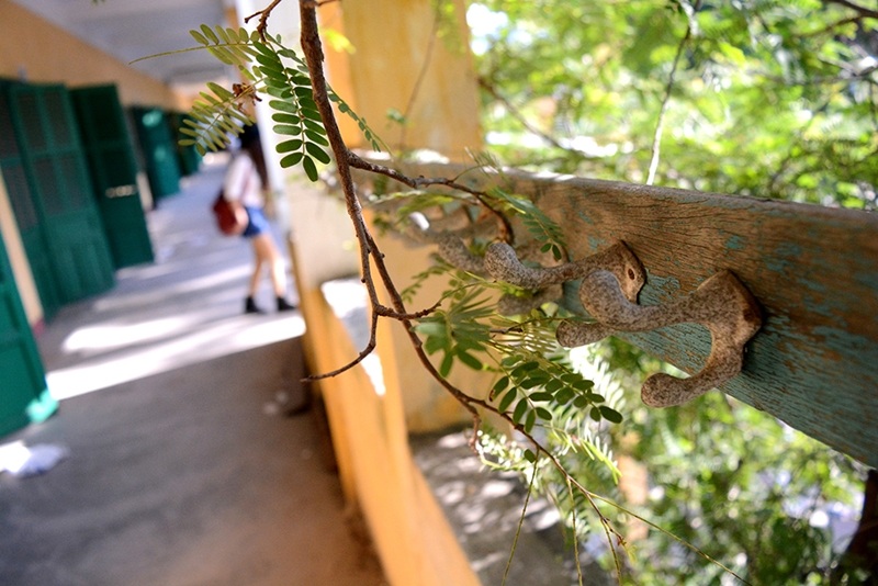 Những dãy lớp học nhuốm màu xưa cũ gắn với bao kỷ niệm của học trò nhà trường