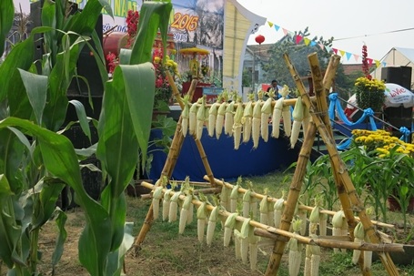 Rất nhiều món ngon được chế biến từ bắp nếp Cẩm Nam