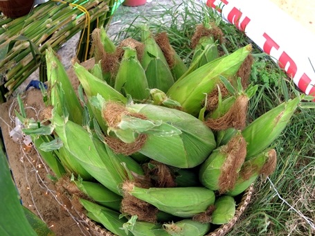 Rất nhiều món ngon được chế biến từ bắp nếp Cẩm Nam