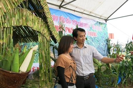 Du khách hào hứng ghi hình lưu niệm và thưởng thức các món ngon từ bắp nếp Cẩm Nam