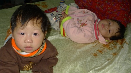 Hàng ngày,  hai bé Công, Minh không ngừng khóc vì khát sữa