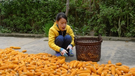 Đi viện về, Thảo có thể giúp gia đình như nấu cơm, dọn dẹp nhà cửa