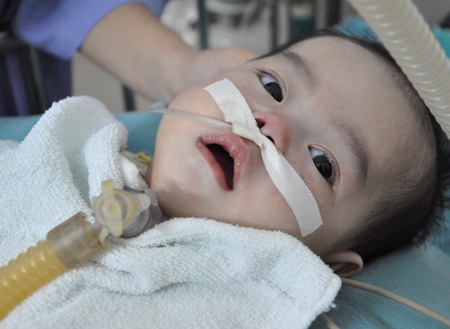 Ánh mắt thơ ngây của bé Bách như chờ đợi điều kì diệu đến với mình.