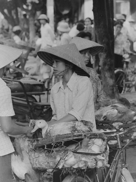 Hà Nội những năm 80 thế kỷ trước trong ống kính một người Anh - 13 Góc chợ Hà Nội xưa.