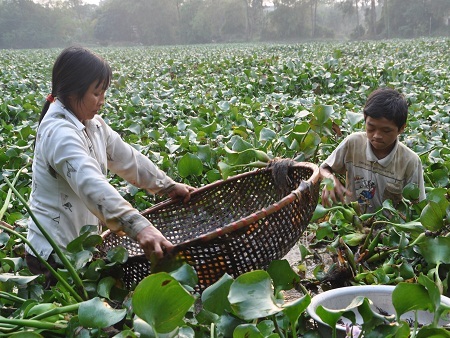 Không có thu nhập, hàng ngày hai mẹ con bám trụ vào dòng sông gần nhà kiếm con cua, con cá.