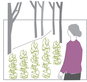 Mẹ vẫn thích trồng rau - 1 Mẹ vẫn thích trồng rau