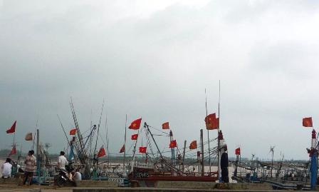 Sẵn sàng cho ngày hội non sông - 9