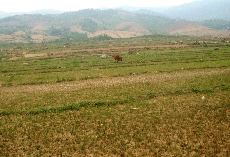 “Sống mòn” ở khu tái định cư - 4