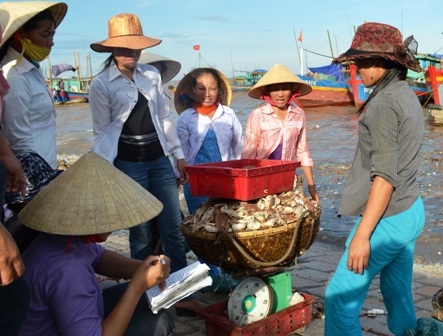 Ngư dân Thanh Hóa kiên trì bám biển   - 5