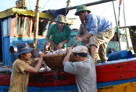 Ngư dân Thanh Hóa kiên trì bám biển   - 4