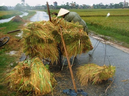 Sét đánh chết 2 người, lốc xoáy tàn phá 7 ngôi nhà - 2 Sét đánh chết 2 người, lốc xoáy tàn phá 7 ngôi nhà - 2